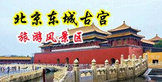 黄色舔舔爽爽免费影院中国北京-东城古宫旅游风景区